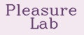 Pleasure Lab