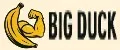 BIG DUCK