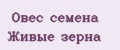 Овес семена Живые зерна