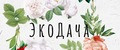 Аналитика бренда Экодача на Wildberries