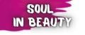 Аналитика бренда soul in beauty на Wildberries