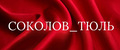 Соколов_Тюль