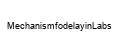 MechanismfodelayinLabs