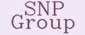 Аналитика бренда SNP Group на Wildberries