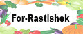 Аналитика бренда For-Rastishek на Wildberries