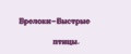 Брелоки-Быстрые птицы.