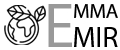 Аналитика бренда EmmaMir на Wildberries