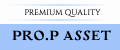 PRO.P ASSET