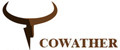 Аналитика бренда Cowather на Wildberries