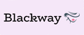 Аналитика бренда Blackway на Wildberries