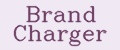 Аналитика бренда Brand Charger на Wildberries