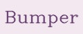Bumper
