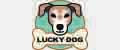 LuckyDogMsk