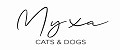 Аналитика бренда Муха cats & dogs на Wildberries