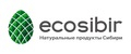 ecosibir