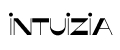 INTUIZIA