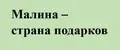 Малина_ Страна подарков