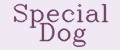 Special Dog