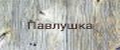 Павлушка