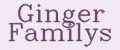 Аналитика бренда Ginger Familys на Wildberries