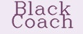 Аналитика бренда Black Coach на Wildberries