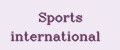 Аналитика бренда Sports international на Wildberries
