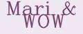 Аналитика бренда Mari&WOW на Wildberries