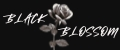 BLACK BLOSSOM