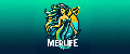 MERlife