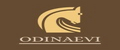 ODINAEVI
