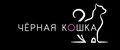 Чёрная кошка