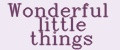 Wonderful little things