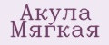 Акула Мягкая