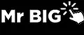 Mr Big