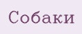 собаки