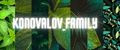 Аналитика бренда KONOVALOV_FAMILY на Wildberries