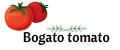 Bogato Tomato