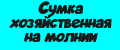 Сумка хозяйственная на молнии