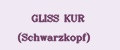 Аналитика бренда GLISS KUR (Schwarzkopf) на Wildberries