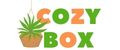 Аналитика бренда Cozy Box на Wildberries