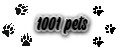 Аналитика бренда 1001 pets на Wildberries