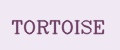 ТORTOISE