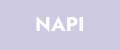 Аналитика бренда NAPI на Wildberries