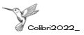 Аналитика бренда Colibri2022_ на Wildberries