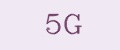 5G