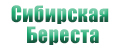 Сибирская Береста