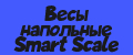 Весы напольные Smart Scale