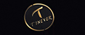 Tinever