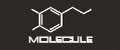 MOLECULE