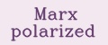 Marx polarized